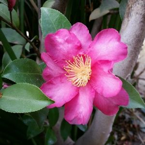 Meet your Posher, Elena